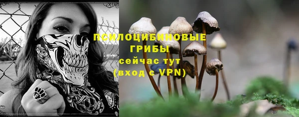 mix Аркадак
