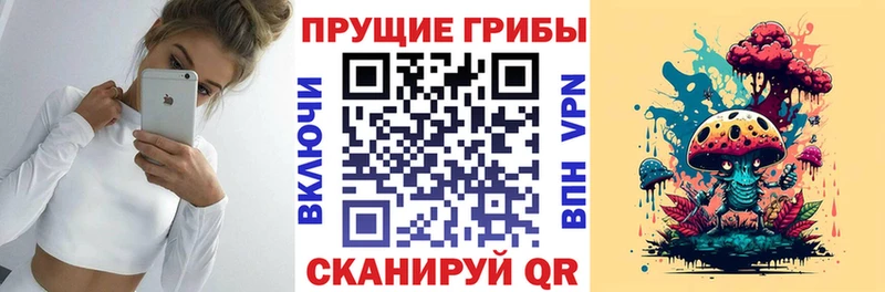 Купить закладки  Стрежевой  Псилоцибиновые грибы прущие грибы 